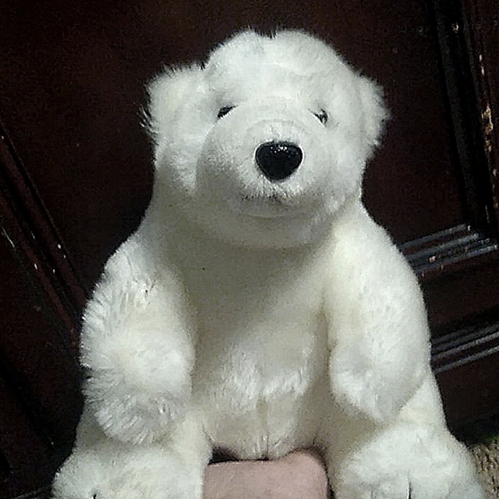 I'm selling my teddy that I've had my hole life❤️